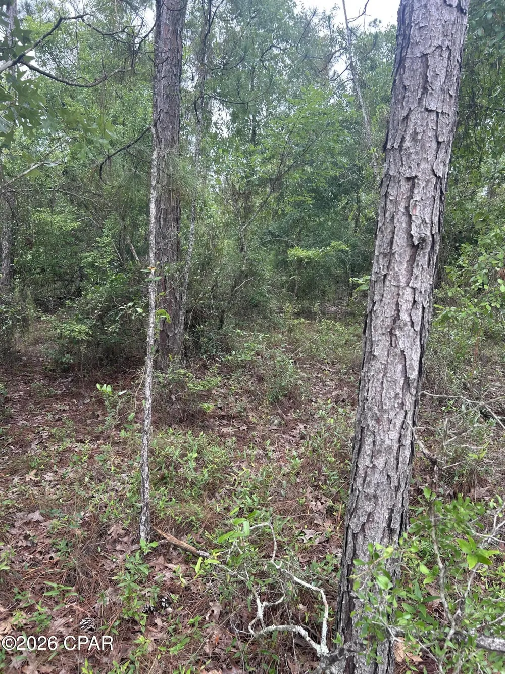 Abraham Street Alford, FL 32420