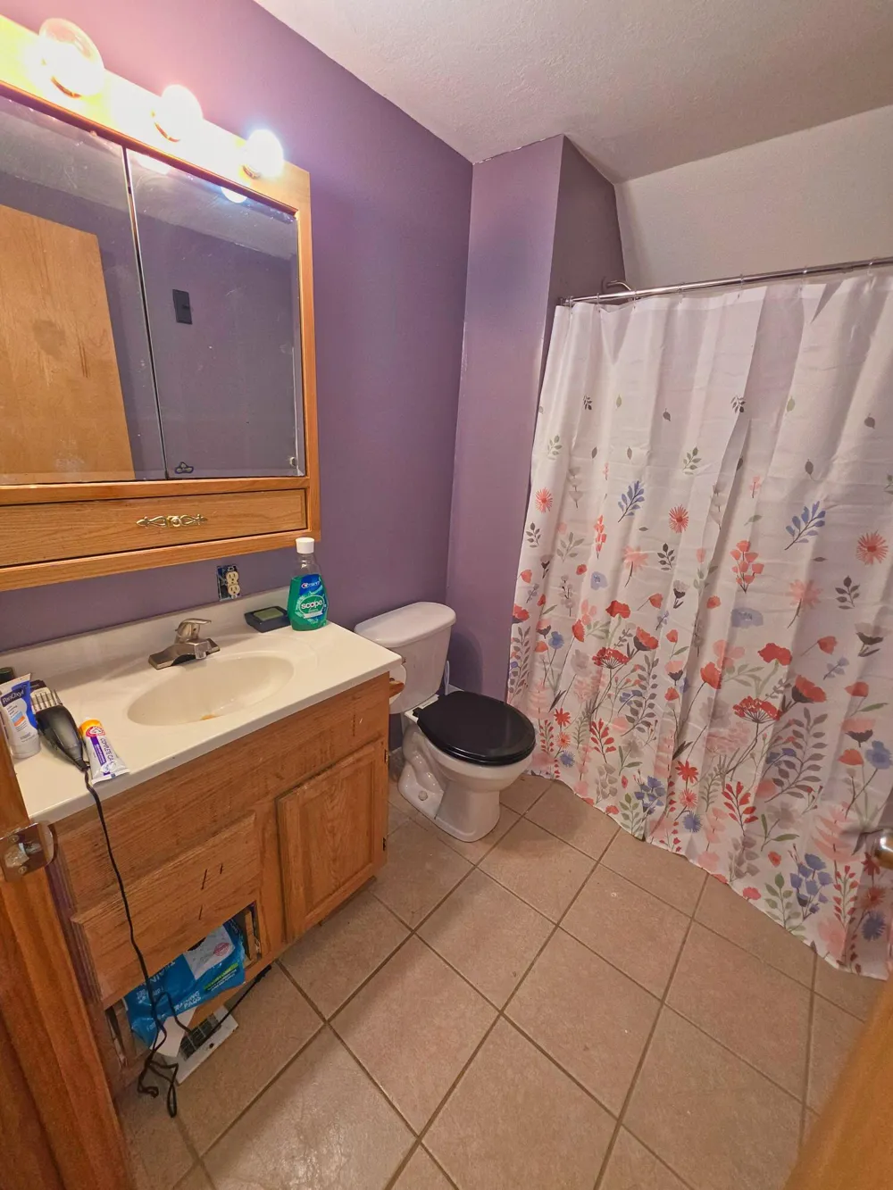 11905 Coman Road Waldron, MI 49288