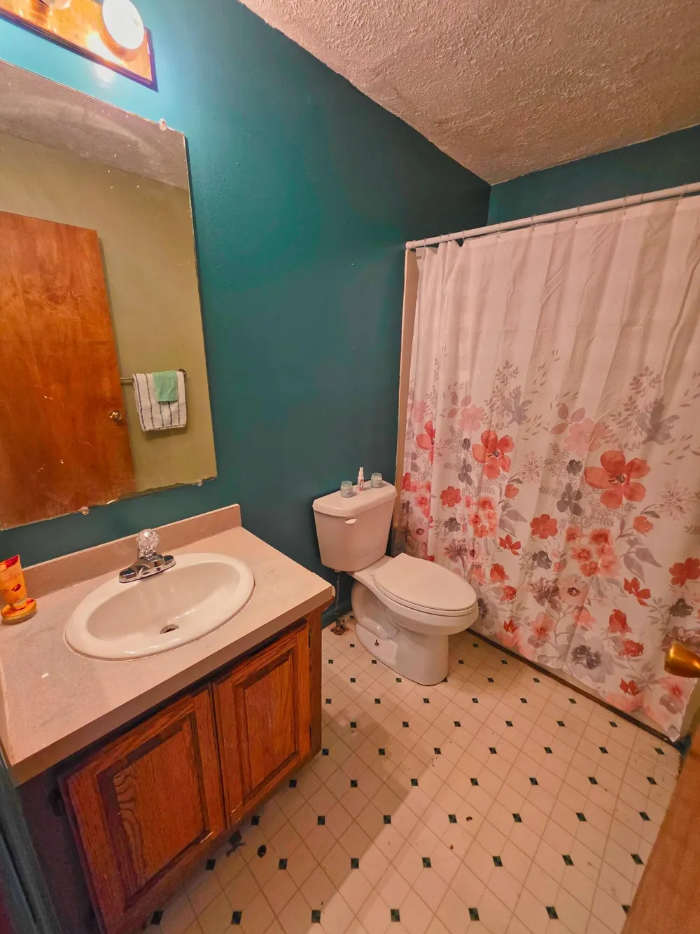11905 Coman Road Waldron, MI 49288
