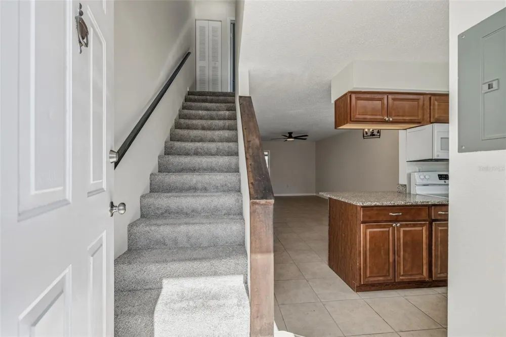 11906 CYPRESS HILL CIRCLE Tampa, FL 33626