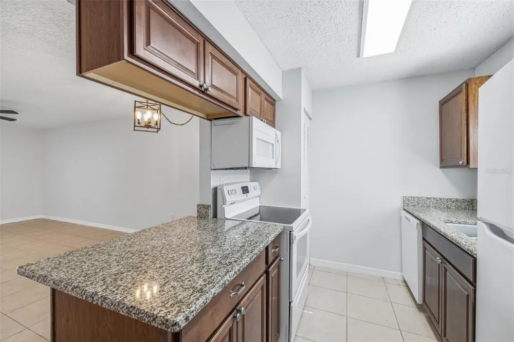 11906 CYPRESS HILL CIRCLE Tampa, FL 33626