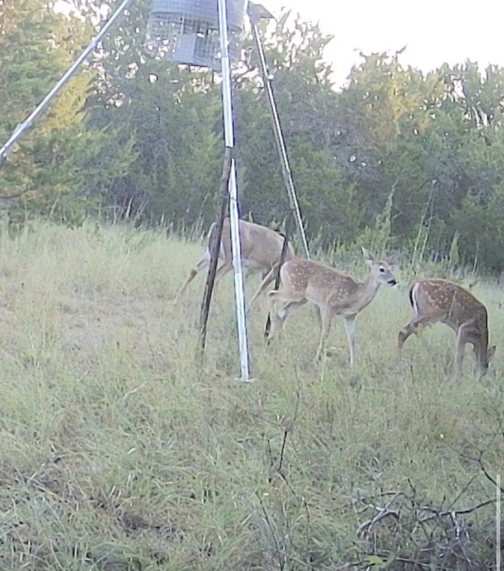 3828 W Fm 219 Hico, TX 76457