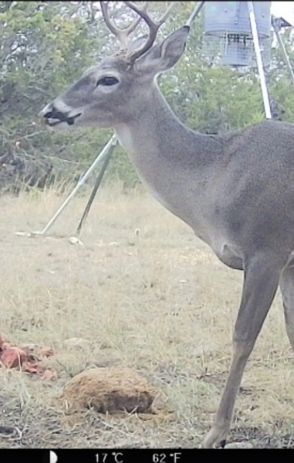 3828 W Fm 219 Hico, TX 76457