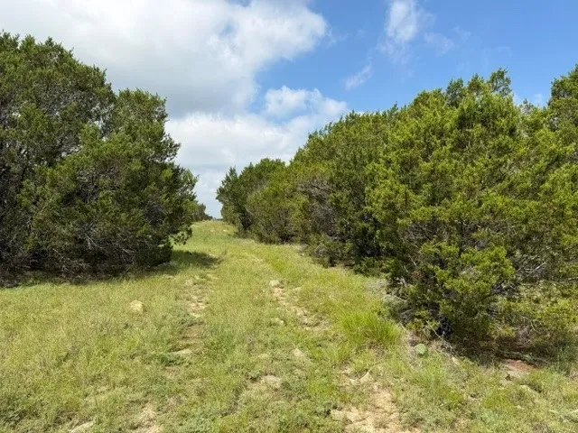 3828 W Fm 219 Hico, TX 76457