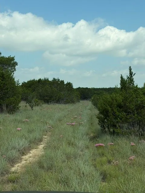 3828 W Fm 219 Hico, TX 76457
