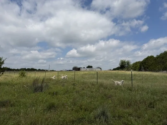 3828 W Fm 219 Hico, TX 76457