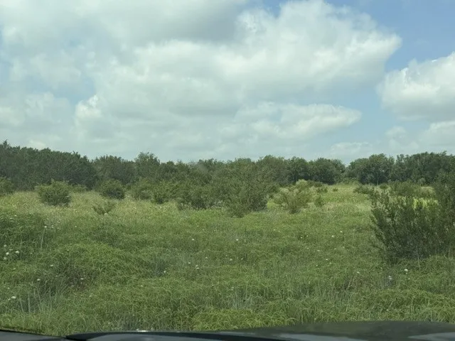 3828 W Fm 219 Hico, TX 76457