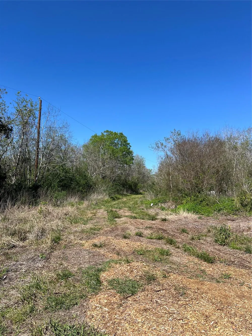 Highway 6 Manvel, TX 77578