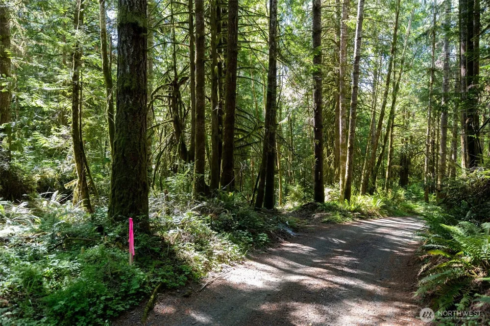 1781 E Sunset Hill Road Shelton, WA 98584