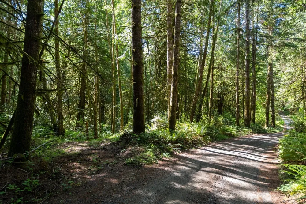 1781 E Sunset Hill Road Shelton, WA 98584