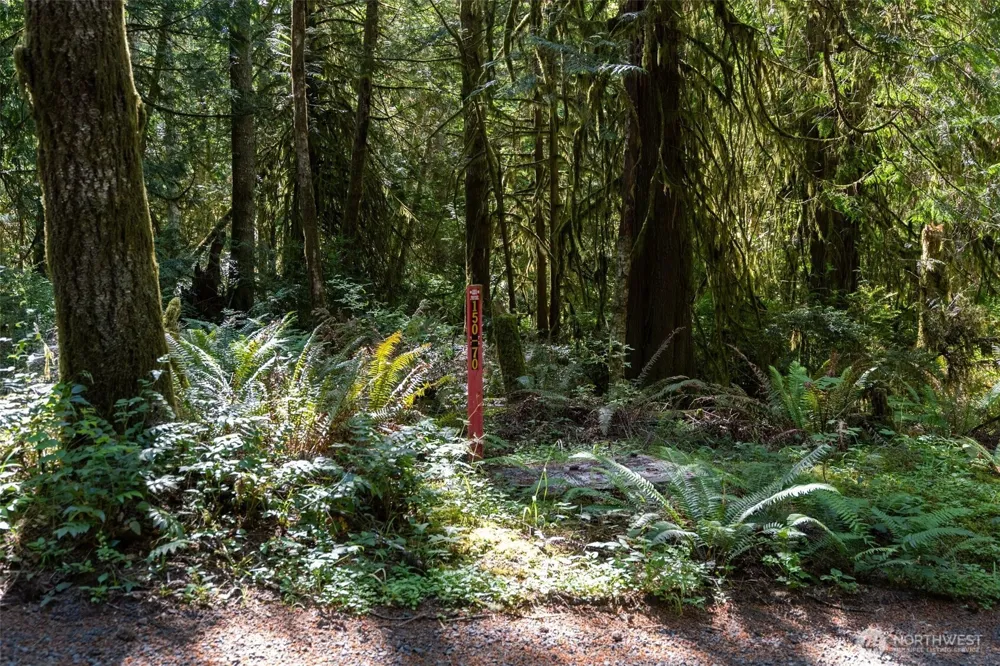 1781 E Sunset Hill Road Shelton, WA 98584