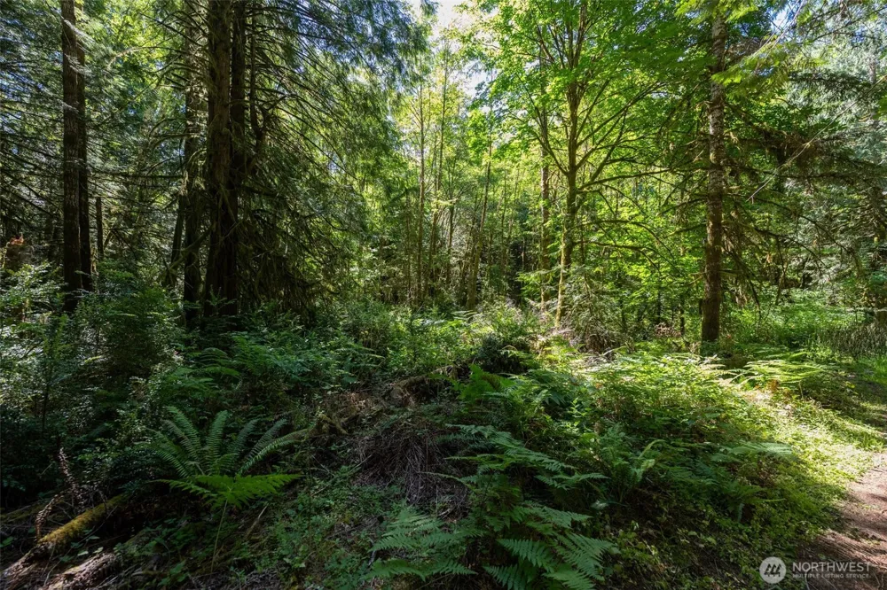 1781 E Sunset Hill Road Shelton, WA 98584