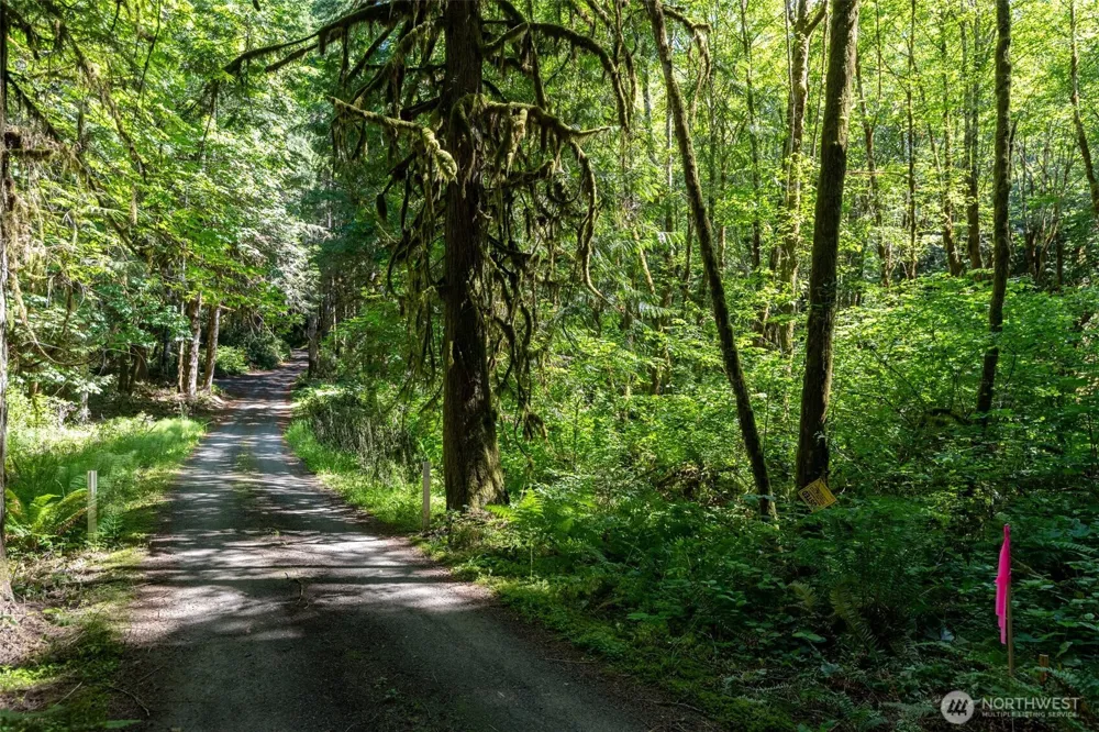 1781 E Sunset Hill Road Shelton, WA 98584