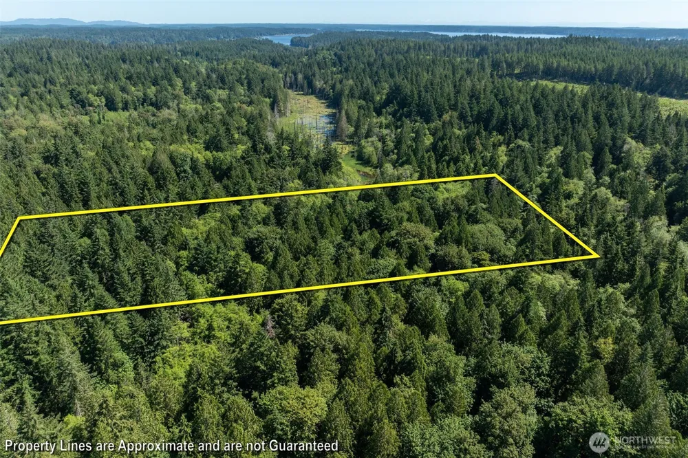 1781 E Sunset Hill Road Shelton, WA 98584