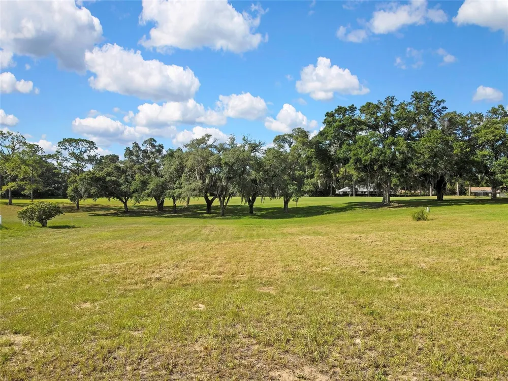 368 E FALCONRY COURT Hernando, FL 34442