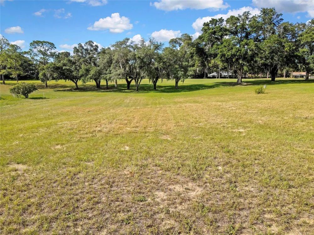 368 E FALCONRY COURT Hernando, FL 34442