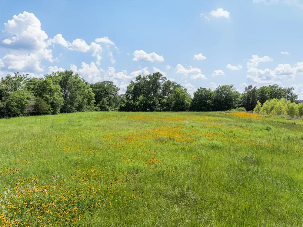 County Road 268 Snook, TX 77878
