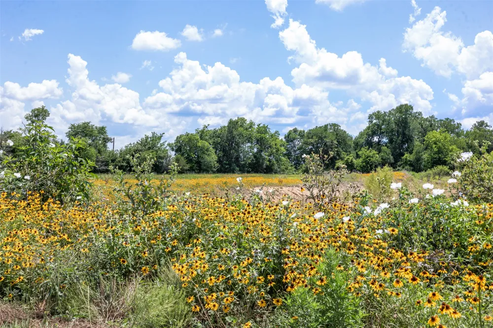 County Road 268 Snook, TX 77878