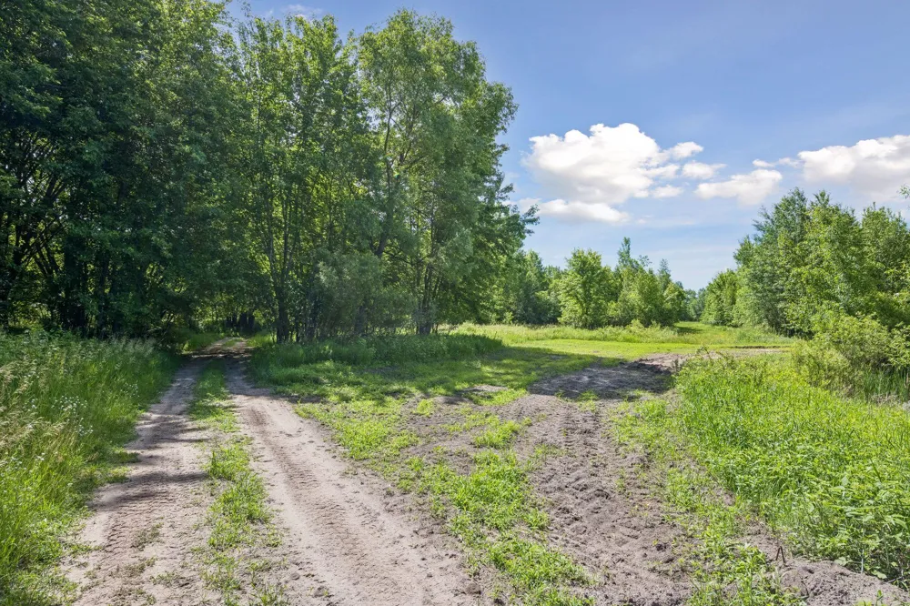 13763 County Road 3 Clear Lake, MN 55319