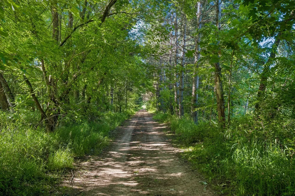 13763 County Road 3 Clear Lake, MN 55319