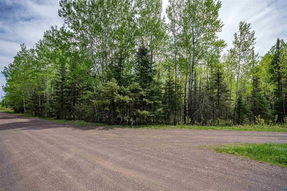 XXX2 Wildwood Road Duluth, MN 55804