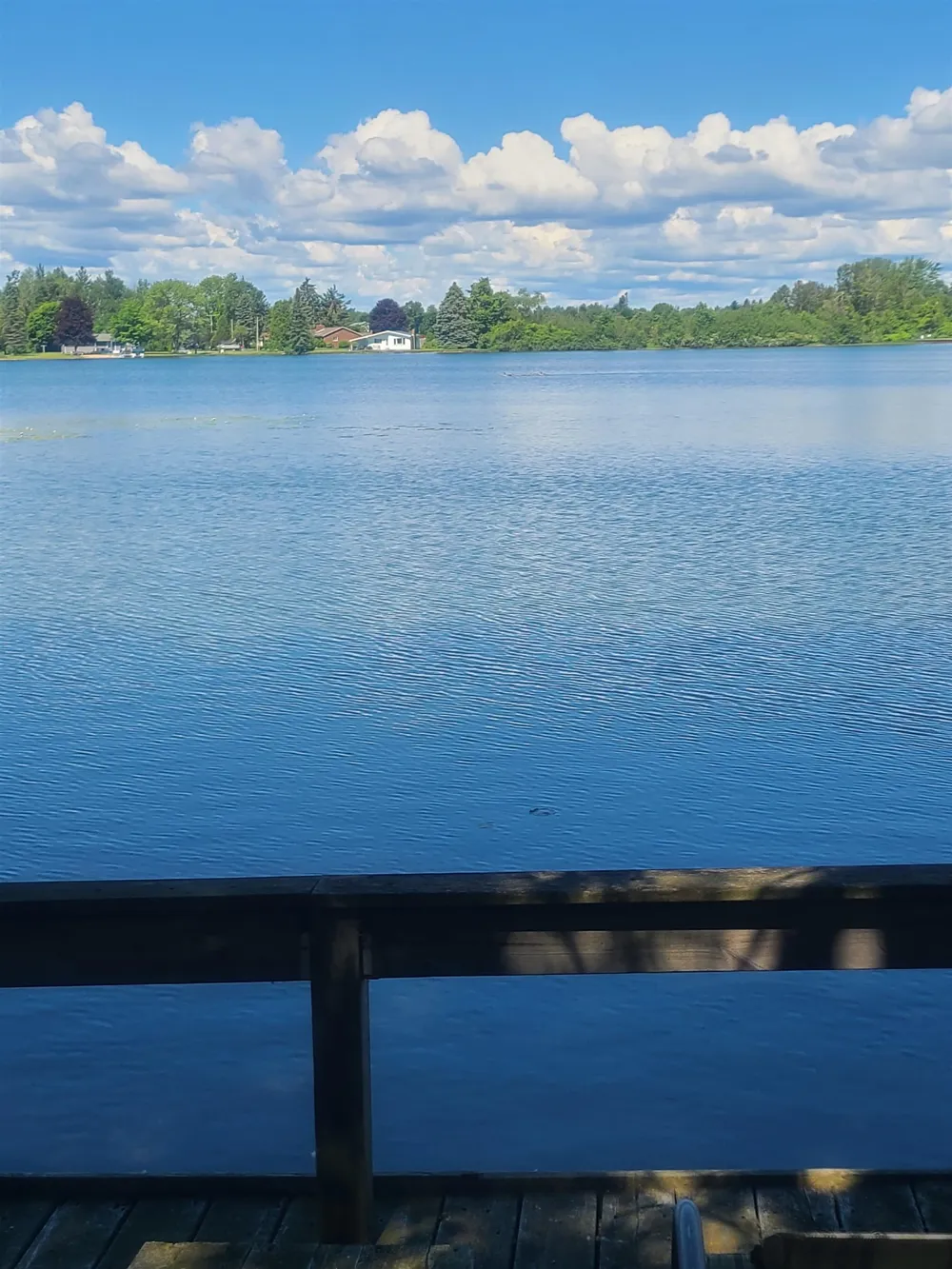 7589 E Cedar Lake Drive Oscoda Charter Township, MI 48738