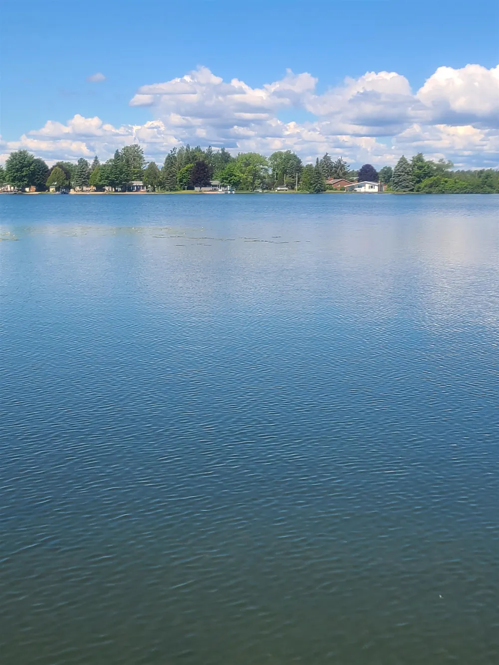7589 E Cedar Lake Drive Oscoda Charter Township, MI 48738
