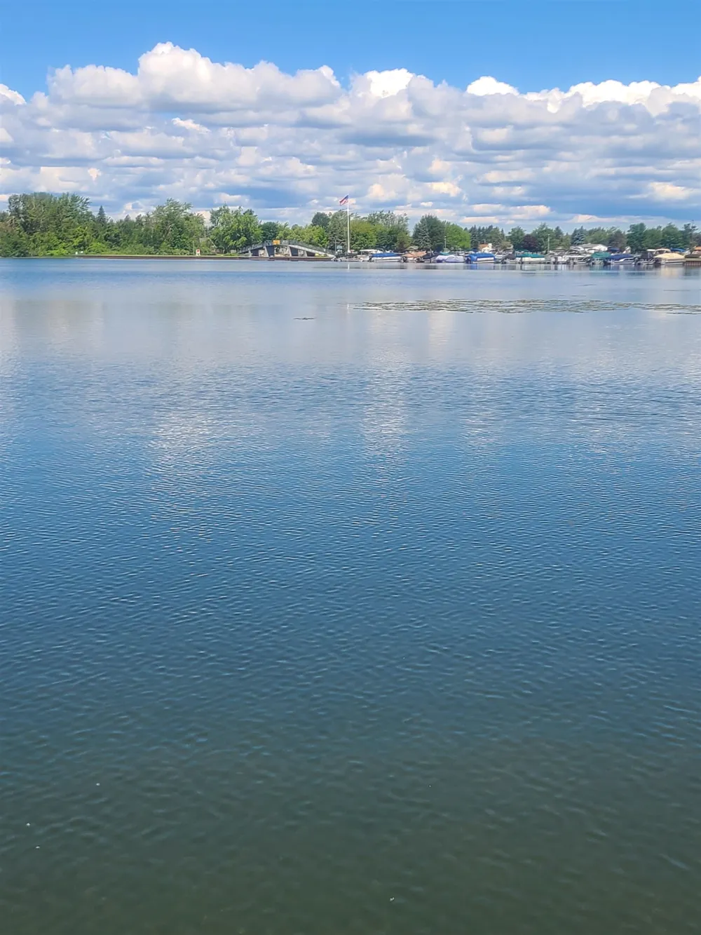 7589 E Cedar Lake Drive Oscoda Charter Township, MI 48738