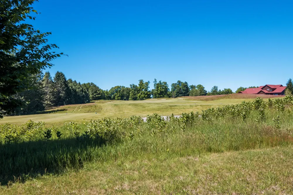 12924 McLachlan Road Torch Lake Township, MI 49648