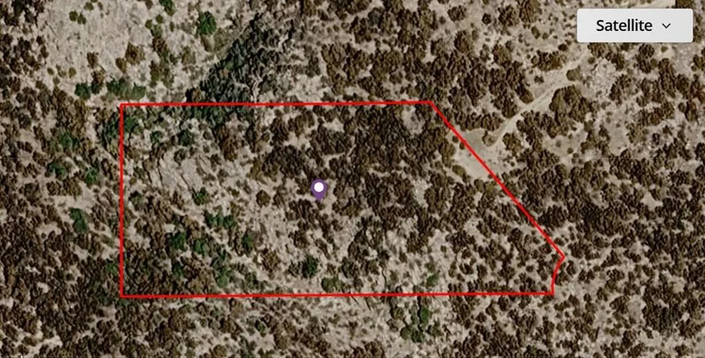Palace Drive Mountain Center, CA 92561