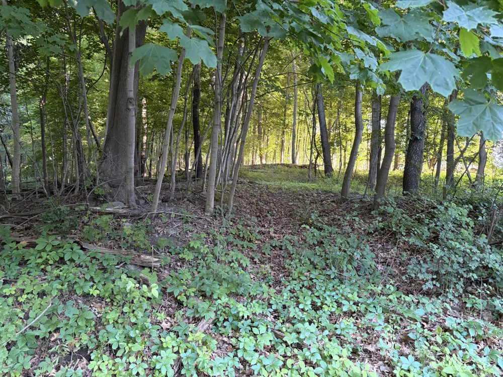 Allman Road Concord, MI 49237