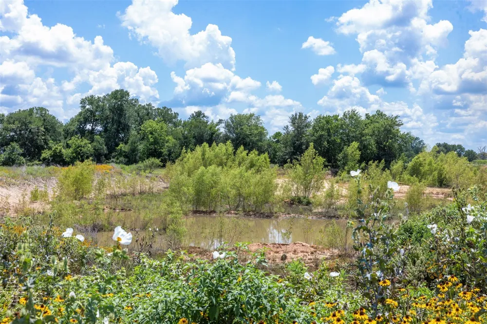 County Road 268 Snook, TX 77878
