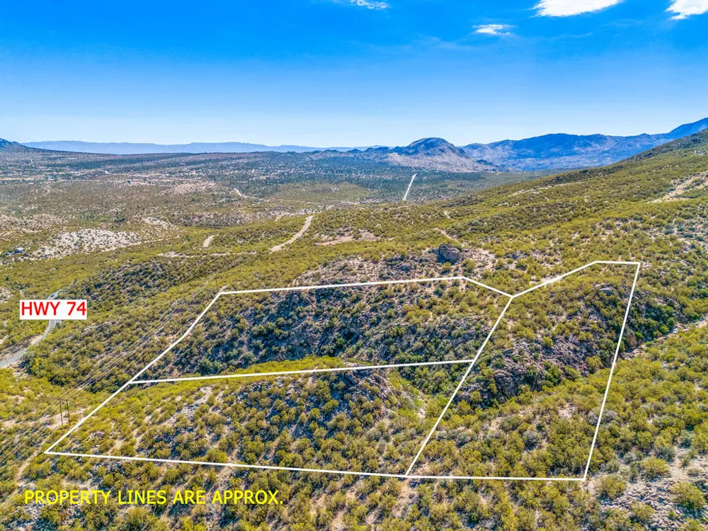 Palm Canyon Drive Mountain Center, CA 92561