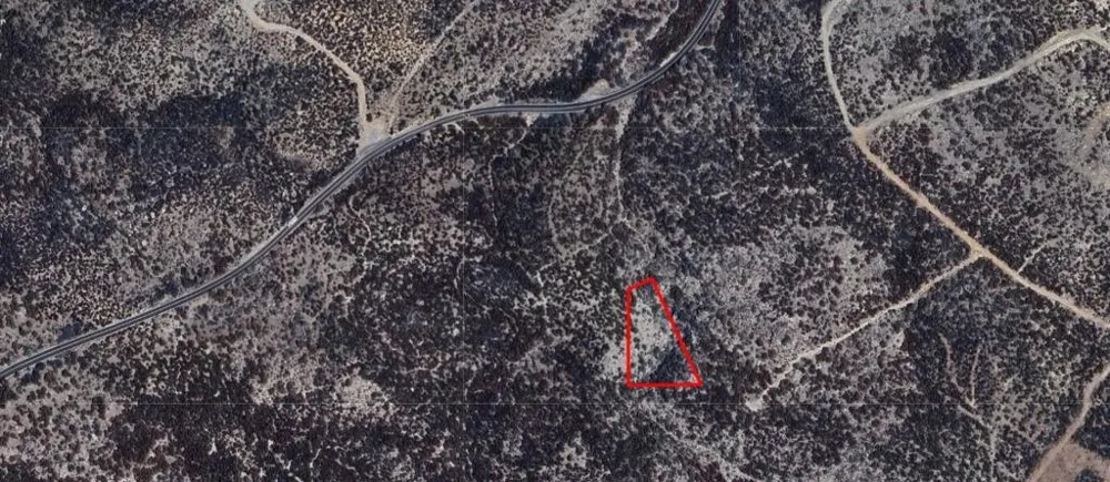 Palm Canyon Drive Mountain Center, CA 92561