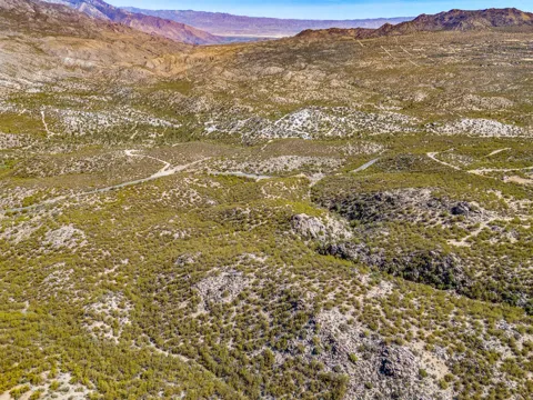 Palm Canyon Drive