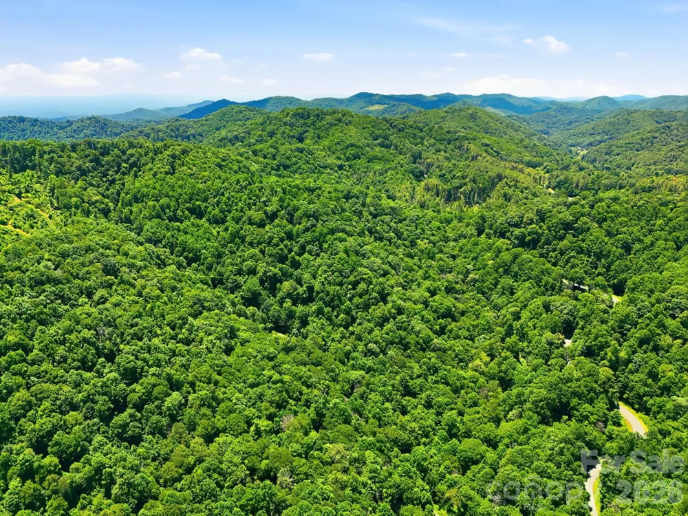 TBD Windy Gap Road #Tract B Mars Hill, NC 28754