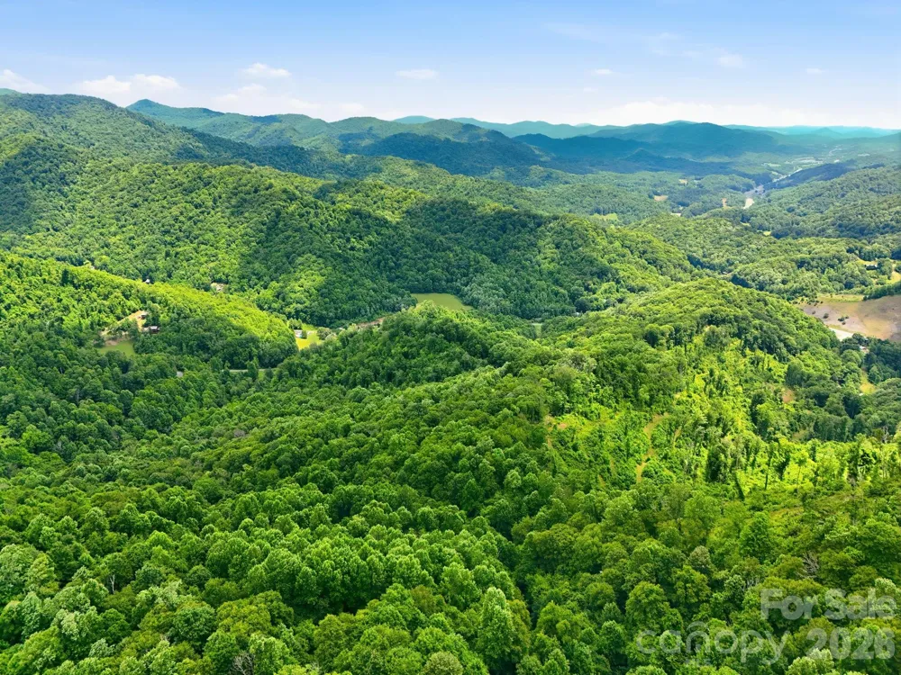TBD Windy Gap Road #Tract B Mars Hill, NC 28754
