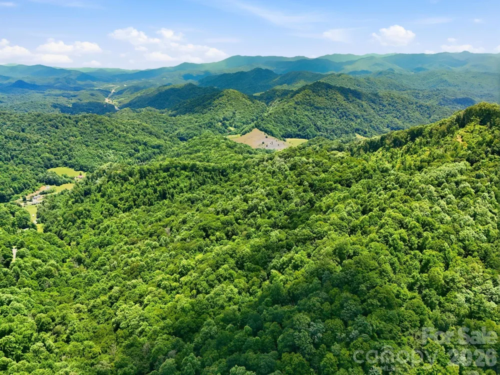 TBD Windy Gap Road #Tract B Mars Hill, NC 28754