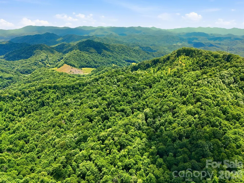 TBD Windy Gap Road #Tract B Mars Hill, NC 28754