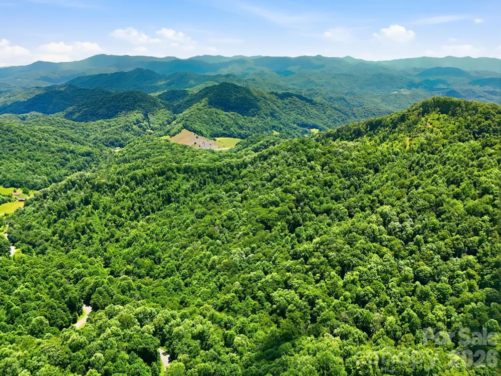 TBD Windy Gap Road #Tract B Mars Hill, NC 28754