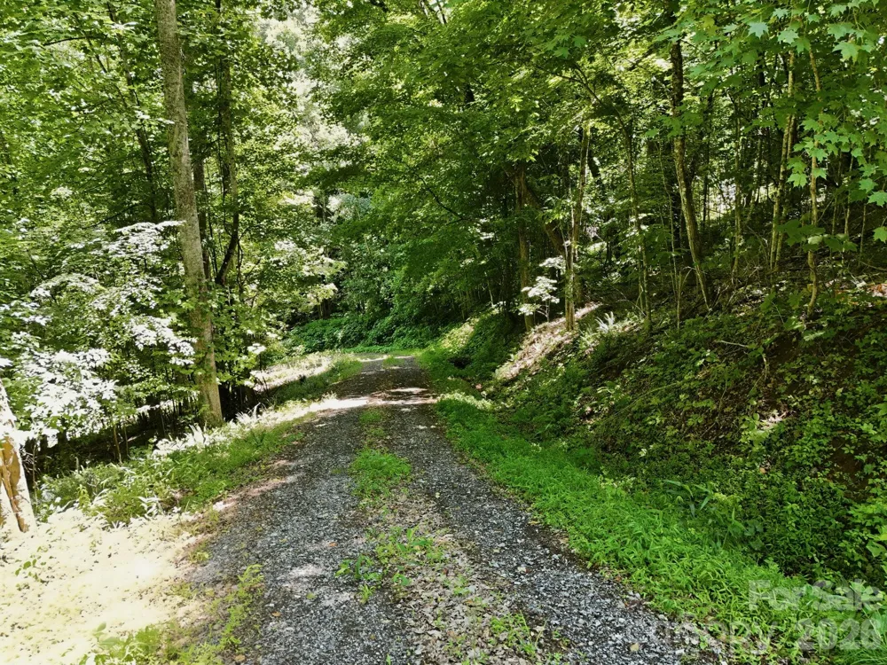 TBD Windy Gap Road #Tract B Mars Hill, NC 28754