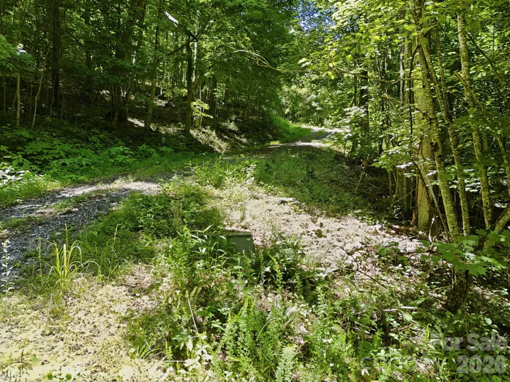 TBD Windy Gap Road #Tract B Mars Hill, NC 28754