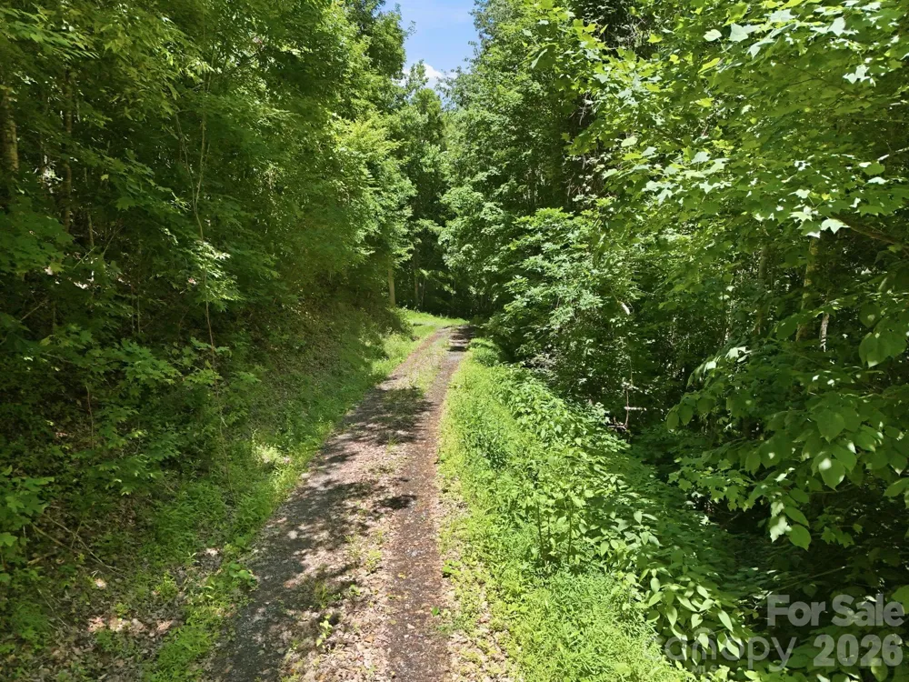 TBD Windy Gap Road #Tract B Mars Hill, NC 28754
