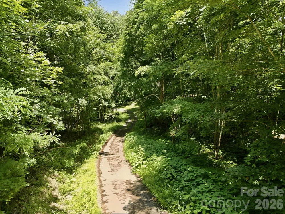 TBD Windy Gap Road #Tract B Mars Hill, NC 28754