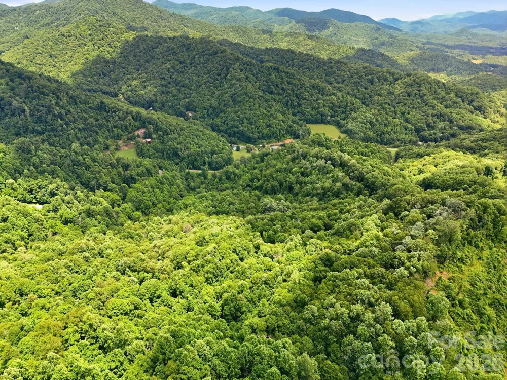 TBD Windy Gap Road #Tract B Mars Hill, NC 28754