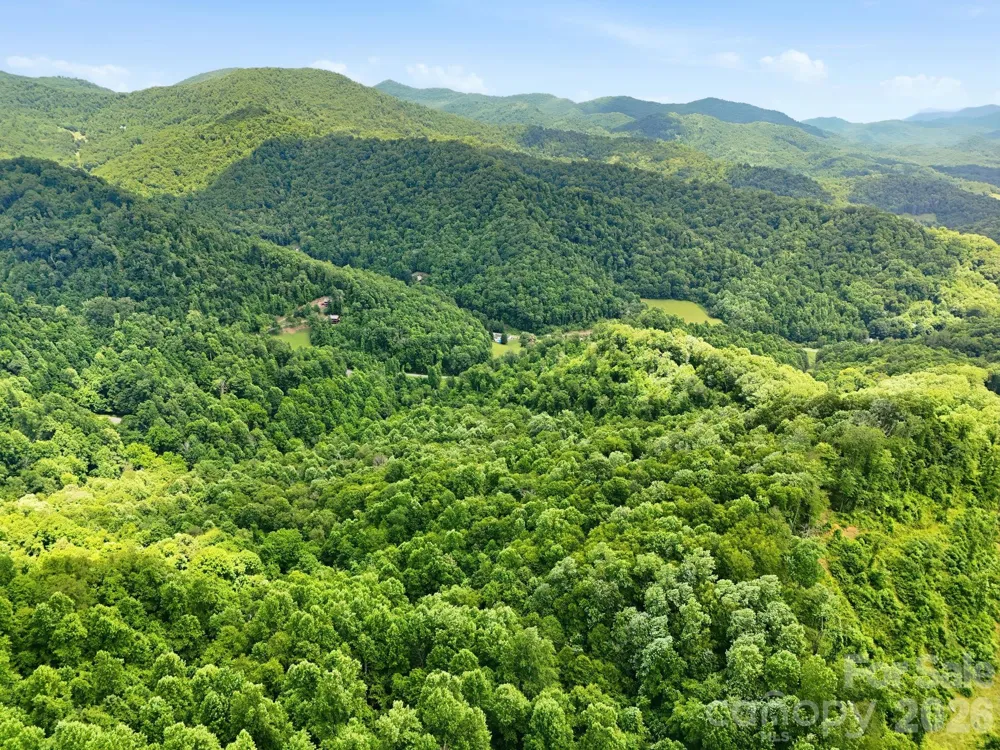 TBD Windy Gap Road #Tract B Mars Hill, NC 28754