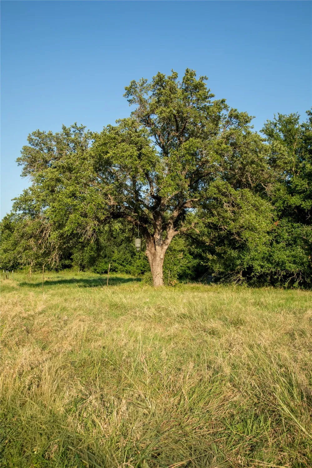 1320 Tidwell Weatherford, TX 76462