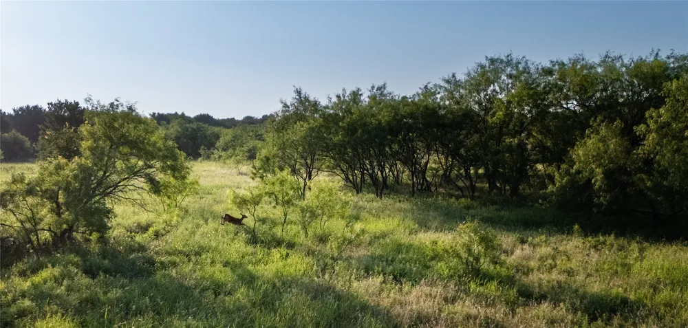 1320 Tidwell Weatherford, TX 76462