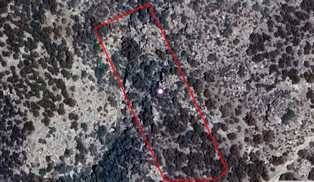 1 Palm Canyon Drive Mountain Center, CA 92561