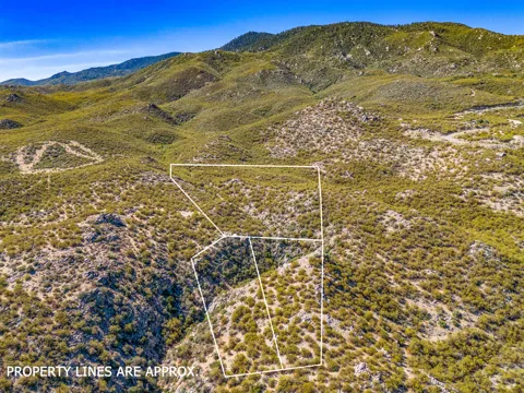 1 Palm Canyon Drive